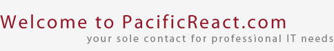 Welcome to PacificReact.com - your sole contact for professional IT needs
